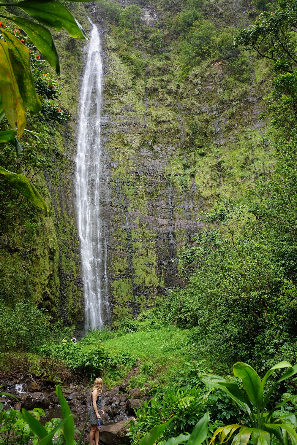 We hiked up to Waimoku Falls….the drop is 400 feet. | Wander Junkie